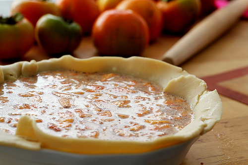 Persimmon Pie- Lidless