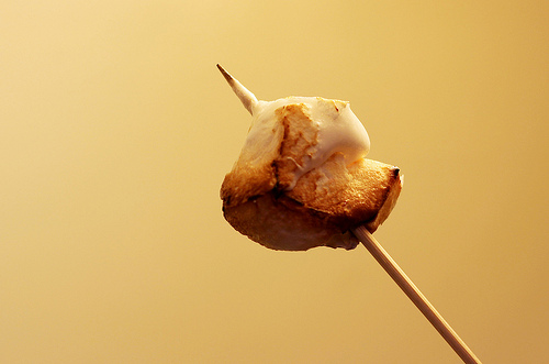 Toasted Homemade Mallow!