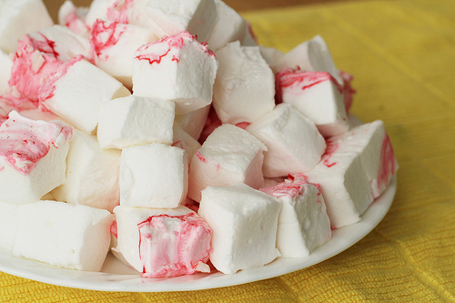 Making Homemade Marshmallows!