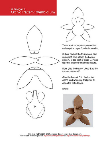 Paper Orchids Template