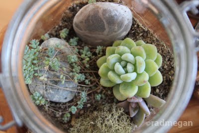 DIY Terrarium Class at the Urban Craft Center!