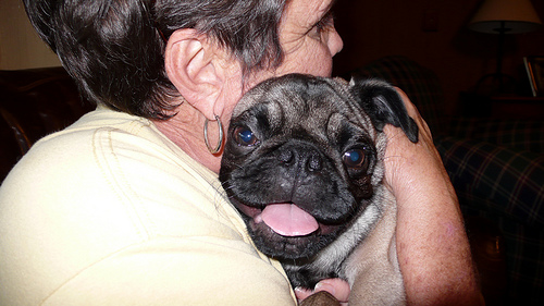 Pug hug