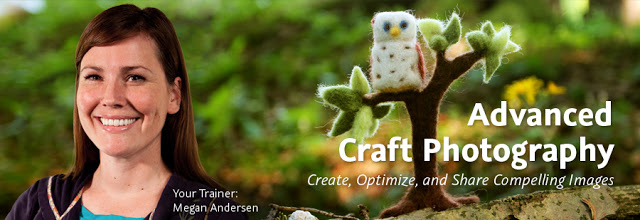 Advanced Craft Photography Video Training by Radmegan