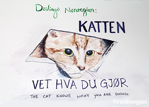 Duolingo-Norsk-Radmegan-Katten